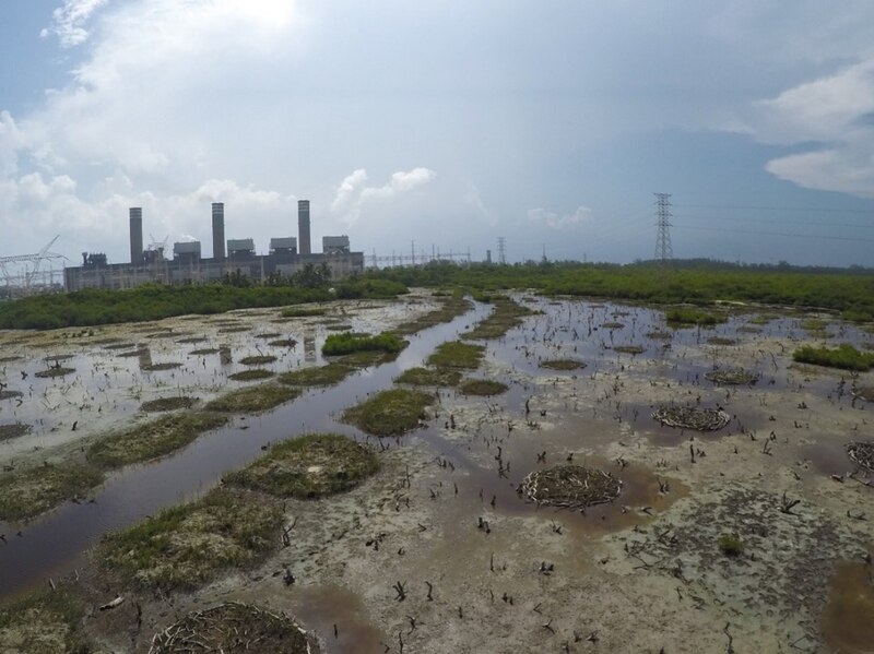 La restauración de humedales requiere conocer sus condiciones particulares de hidrología y microtopografía