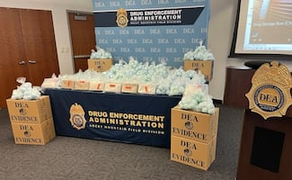 DEA da golpe al narco mexicano; decomisa media tonelada de droga oculta en cajas de chayotes