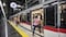 Supera SITEUR 15.3 millones de pasajeros mensuales y proyecta récord histórico en 2026