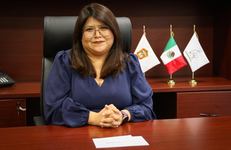 Dra. July Erika Armenta Paulino
Consejera Electoral
Instituto Electoral del Estado de México