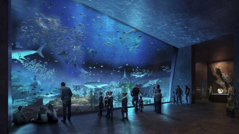Acuario