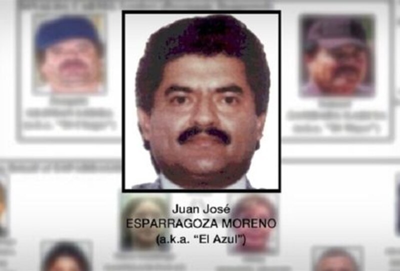Juan José Esparragoza Moreno, alias "El Azul"