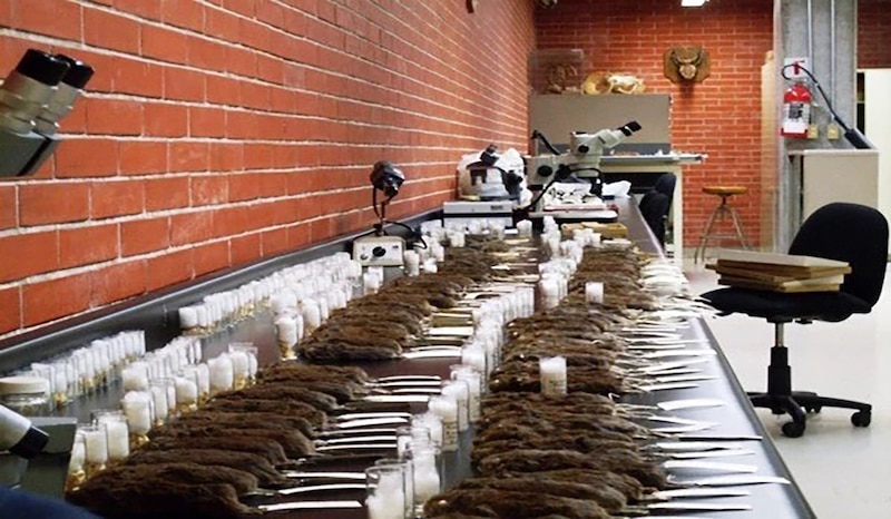 Laboratorio de investigación