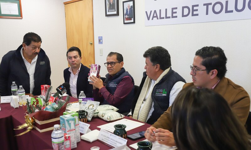 Possible title: Reunión de trabajo en Valle de Toluca