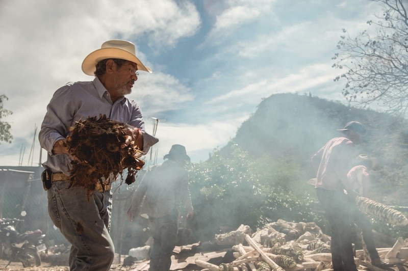 Un maestro mezcalero durante el proceso de elaboración de le bebida