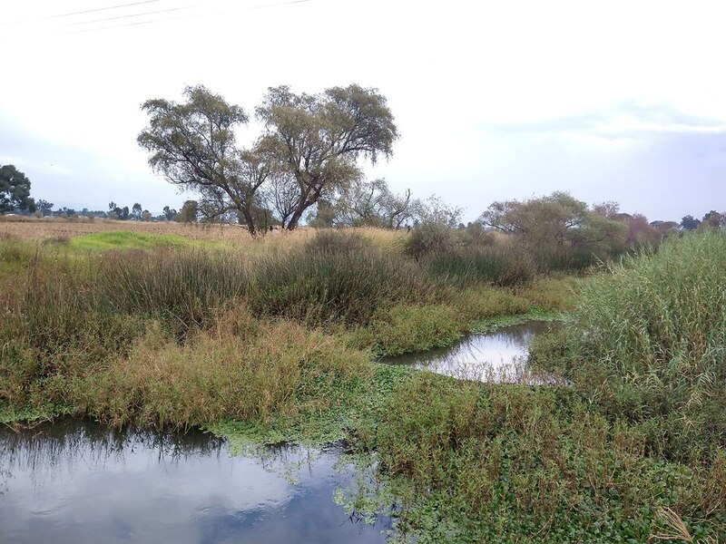 Título: Hermoso paisaje de un río en el campo