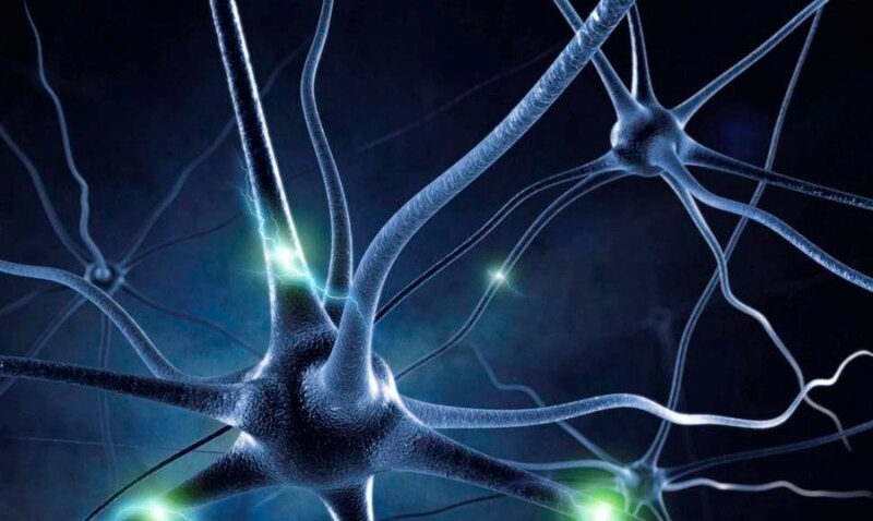Neuronas, las células del cerebro