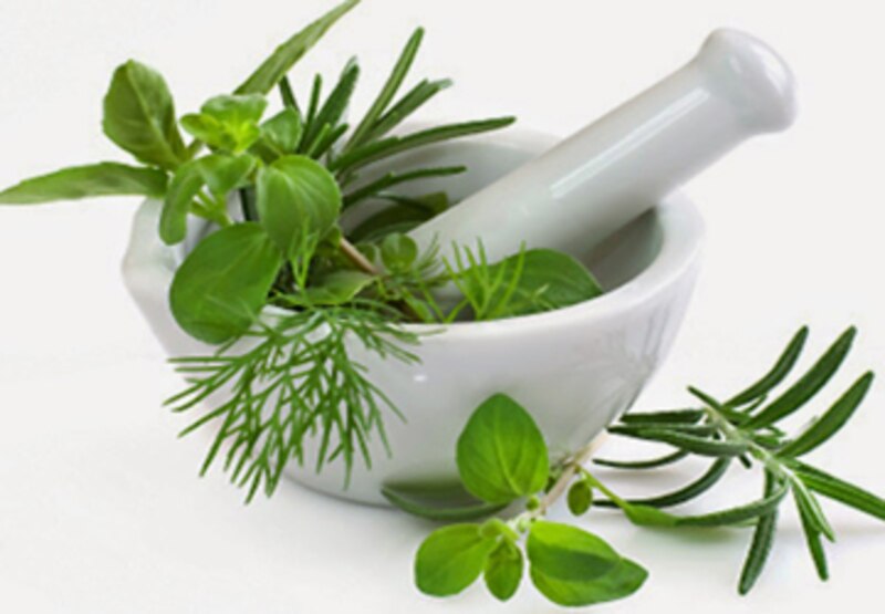 Hierbas medicinales