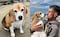 Aaron Ramsey se rinde en la búsqueda de su perrita Halo: “No creo que la encontremos nunca” 