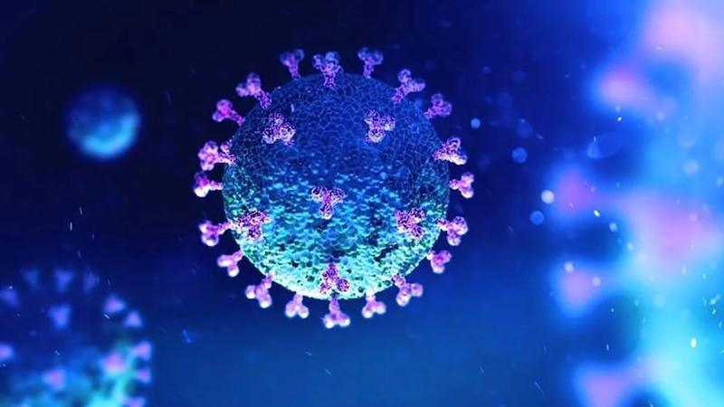 Coronavirus