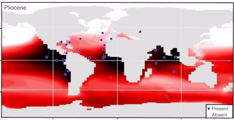 Distribución de los corales en el mundo