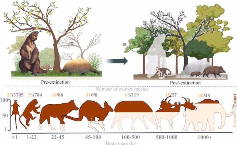 Extinción masiva del Pleistoceno