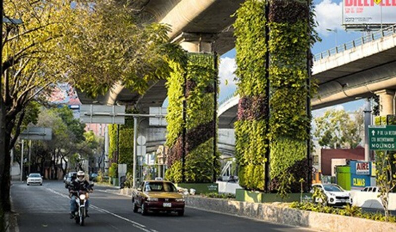 Un muro verde en una ciudad