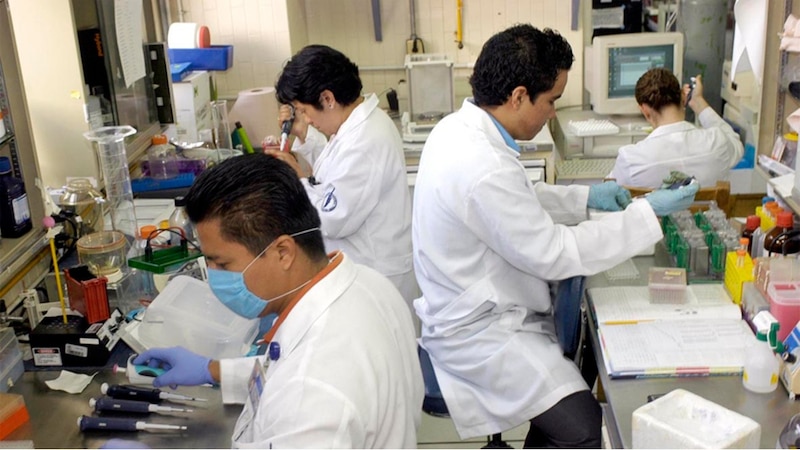 Científicos trabajando en un laboratorio