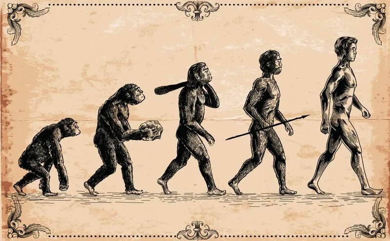 Evolución del ser humano