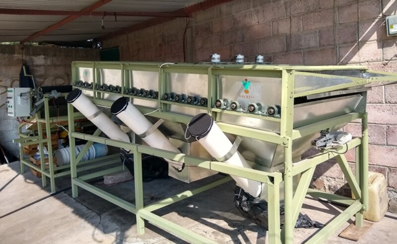Máquina para el procesamiento de semillas