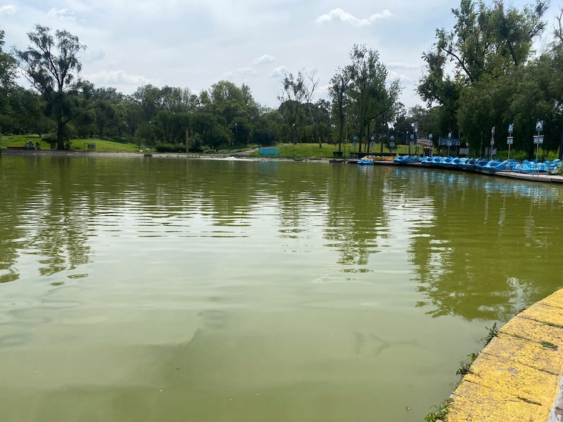 Lago en el parque