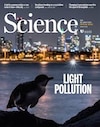 Science retira el polémico estudio de 2010 de la bacteria que usaba arsénico para crecer