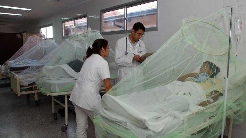 Paciente en una cama de hospital con mosquitero