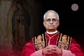 Un León en el estadio 