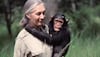 Fallece Jane Goodall, primatóloga sin igual, conservacionista excepcional 