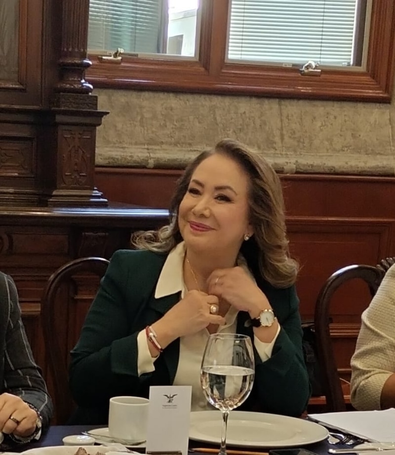 La senadora mexicana Claudia Ruiz Massieu Salinas.