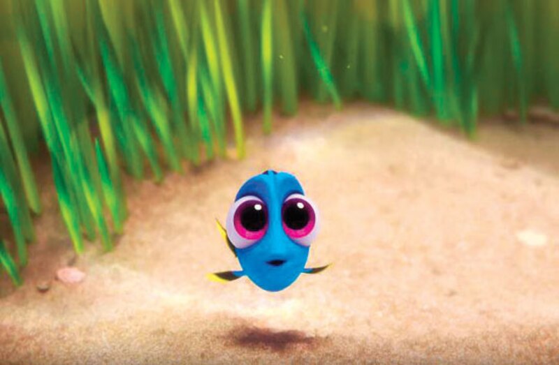 Dory, el pez olvidadizo