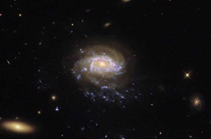 Galaxia espiral M81