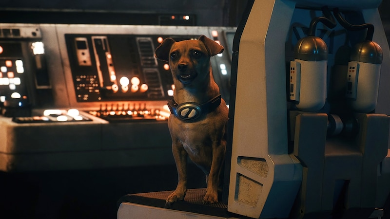 Un perro en una nave espacial