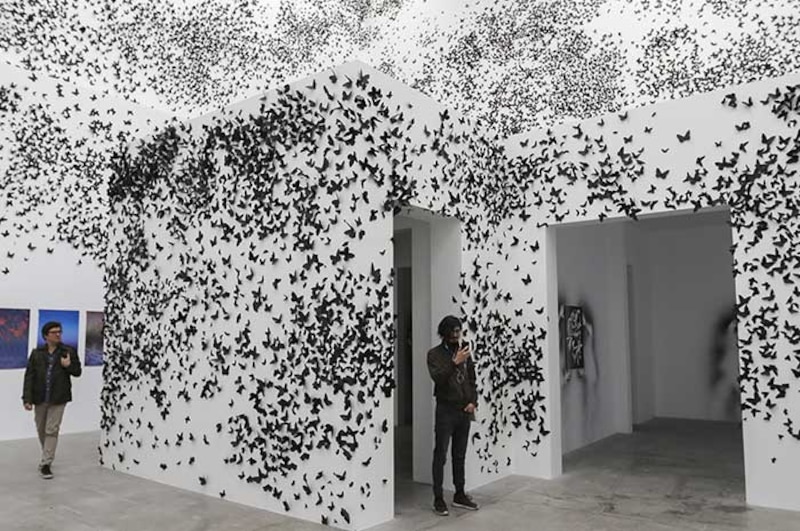 Instalación de arte con mariposas negras