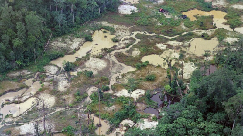 Deforestación en la Amazonía