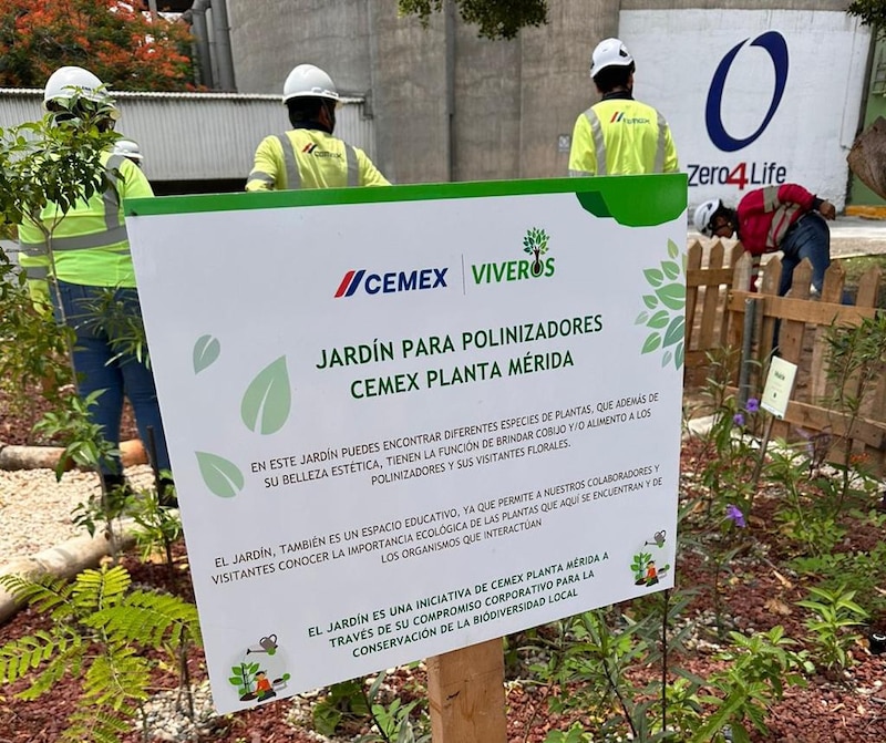 Jardín para polinizadores Cemex Planta Mérida