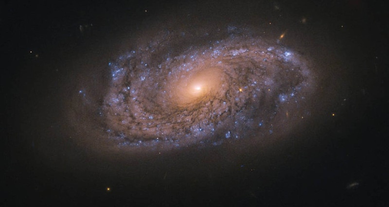 Galaxia espiral M81