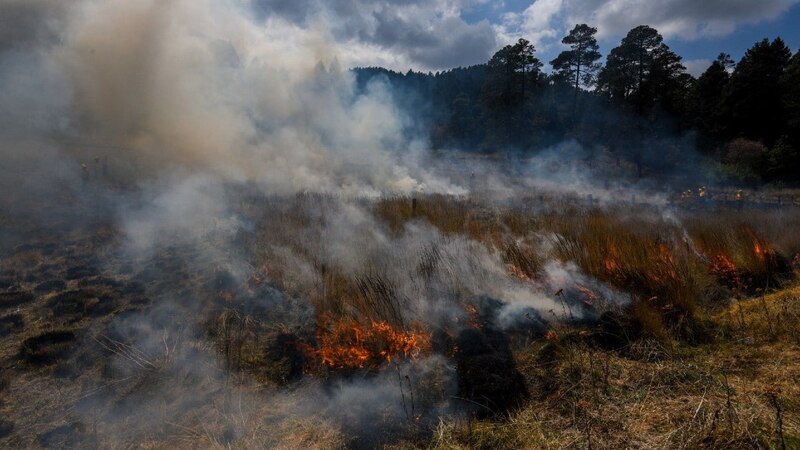 Incendios forestales en México