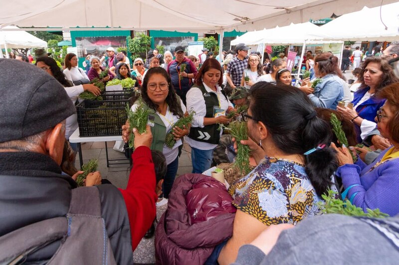 Mercado de plantas en México