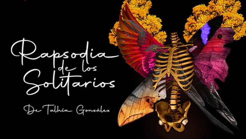 Rapsodia de los solitarios