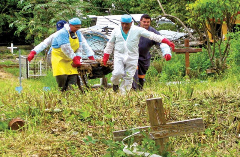 Exhuman cadáveres en el cementerio de La Piedad