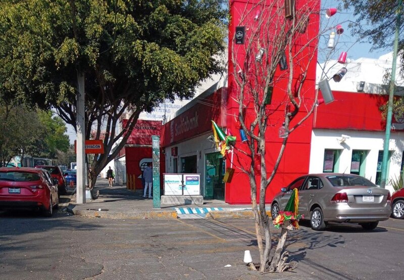 Árbol con adornos en la calle
