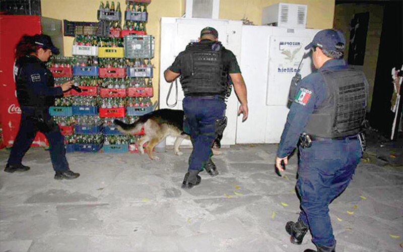 Perro policía encuentra droga en una licorería