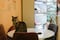 ¿Cuándo abre el Museo del Gato en CDMX? Conoce la ubicación, horarios y precios