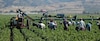 UAM Azcapotzalco y ECOSUR impulsan debate sobre migración y agroindustria 