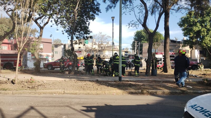 Bomberos sofocan incendio en un parque de la Ciudad de México