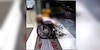 “El dinero venía en camino”: Hospital Tlalpan dejó morir a mujer por no pagar depósito