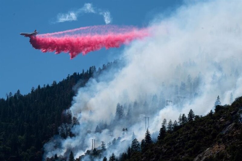 Bombero apaga un incendio forestal