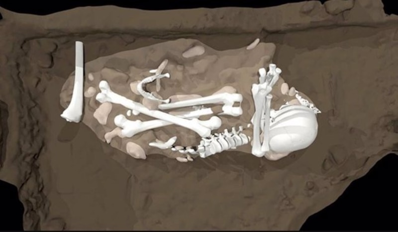 Restos óseos de un mamut encontrados en Siberia