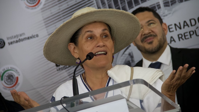 La senadora Nestora Salgado da un discurso durante una conferencia de prensa en el Senado de la República.