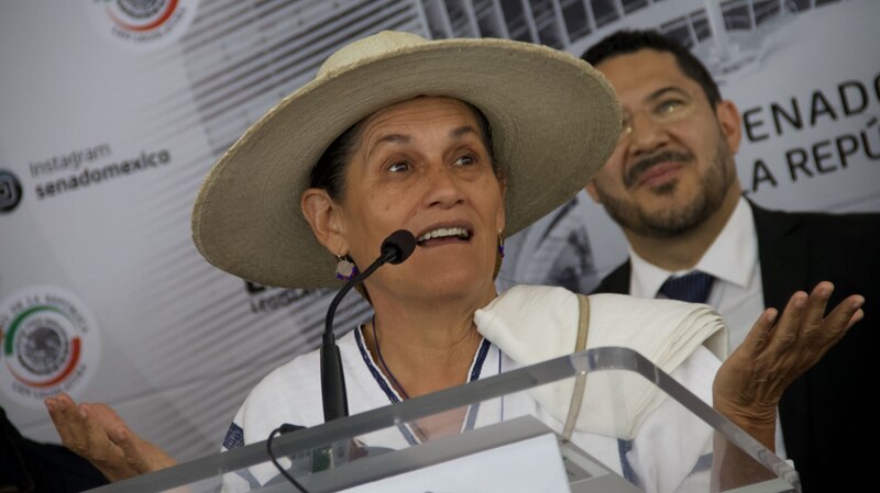 La senadora Nestora Salgado da un discurso durante una conferencia de prensa en el Senado de la República.