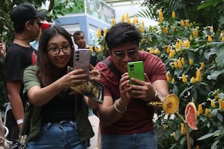 Generación Z en México: ¿participación juvenil y conciencia política?