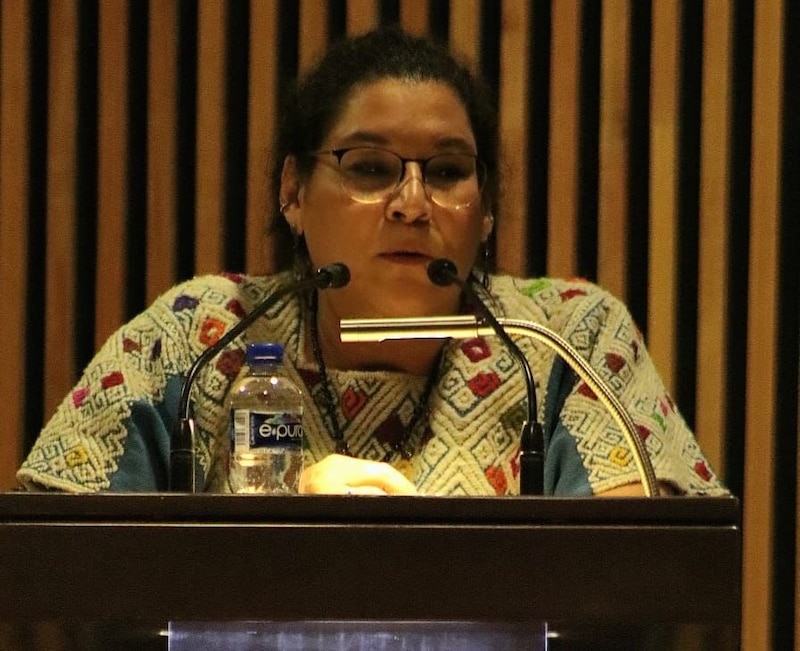 Lenia Batres durante su conferencia en la Facultad de Estudios Superiores Acatlán, discutiendo sobre la reforma judicial y la transparencia