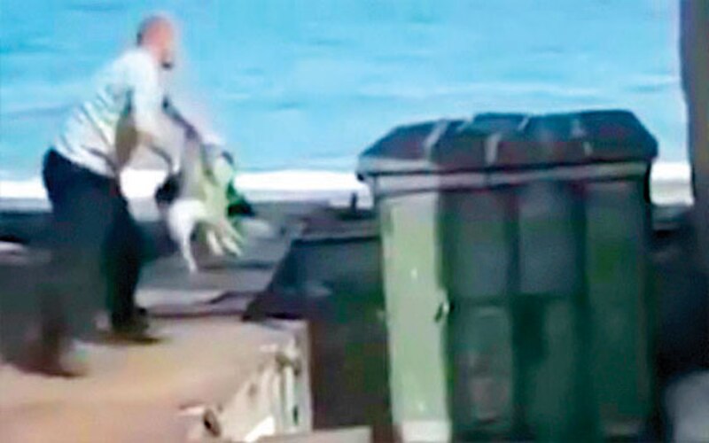 Hombre arroja a un perro a la basura